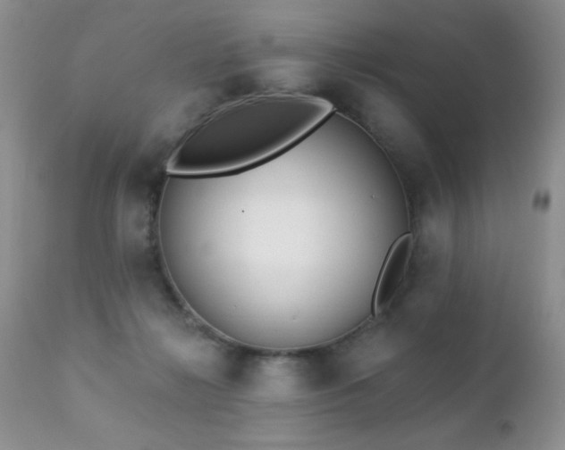 X0000112460268200908171210