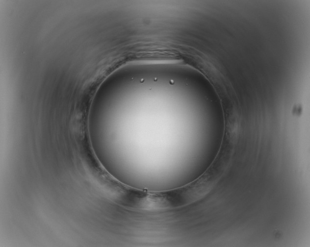 X0000112460270200908171210