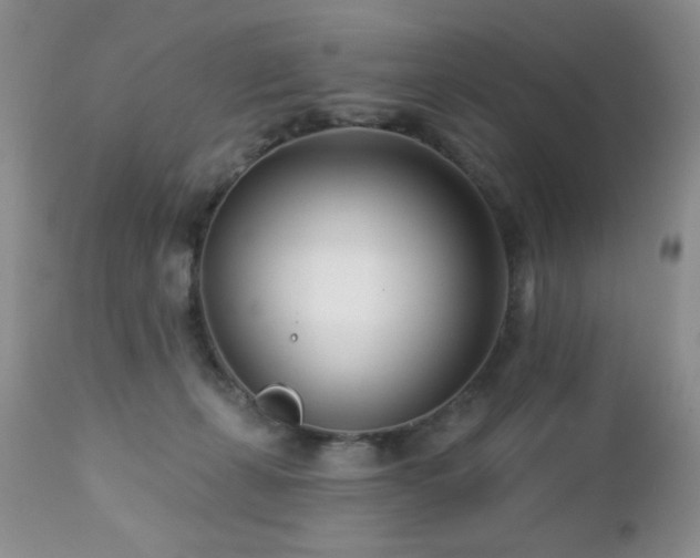 X0000112460271200908171210