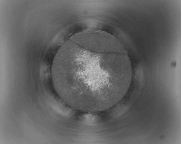 X0000112460272200908171210
