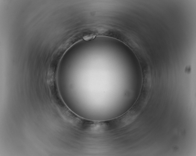 X0000112460274200908171210
