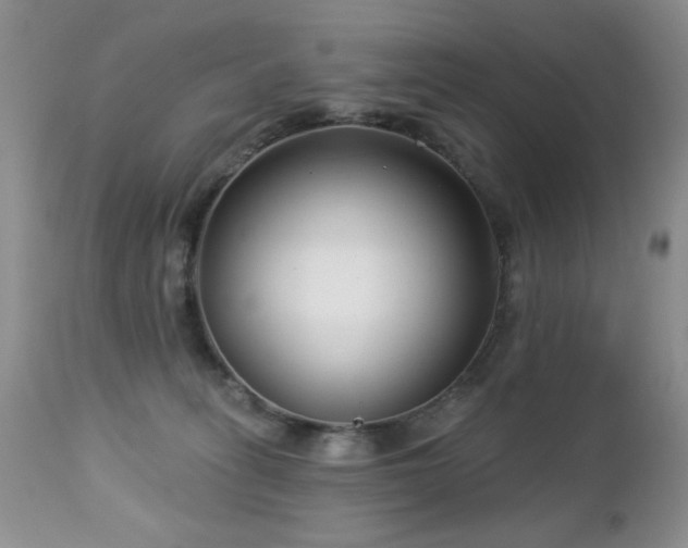 X0000112460275200908171210