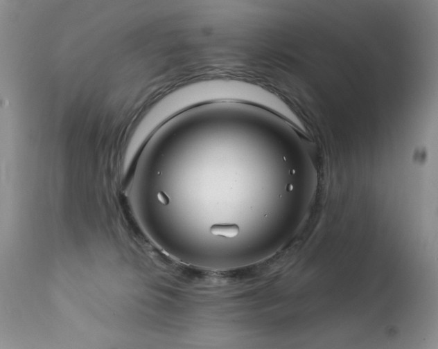 X0000112460276200908171210