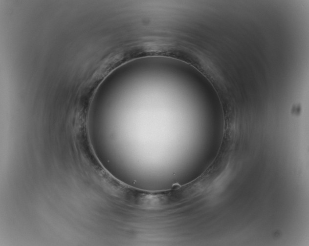 X0000112460277200908171210