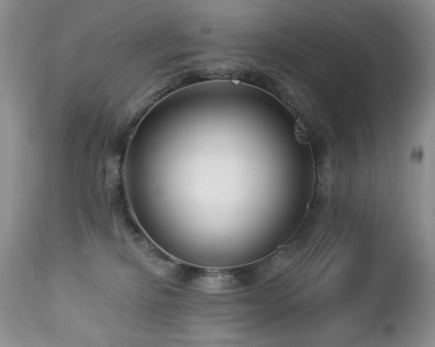 X0000112460278200908171210