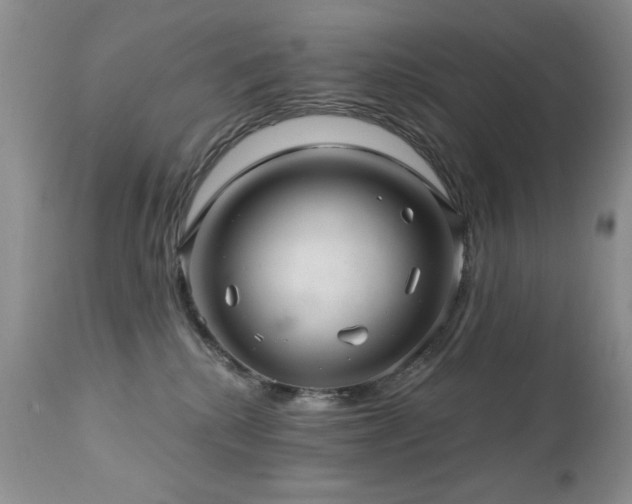 X0000112460280200908171210