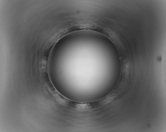 X0000112460281200908171210