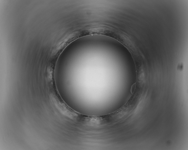 X0000112460282200908171210