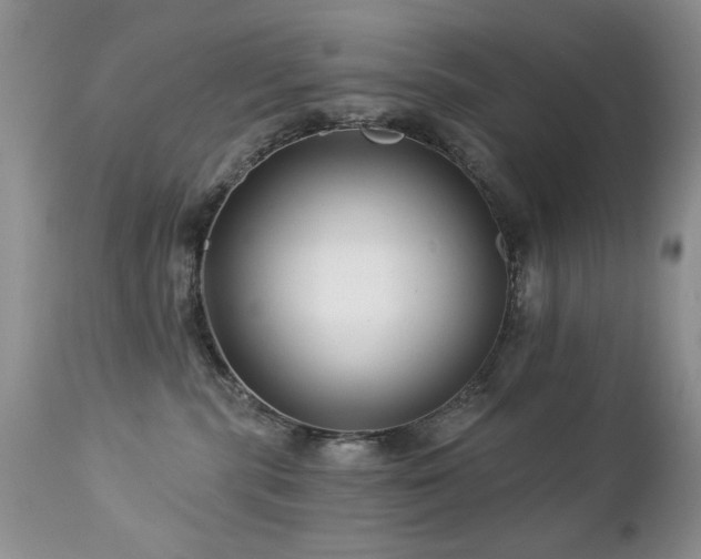 X0000112460283200908171210