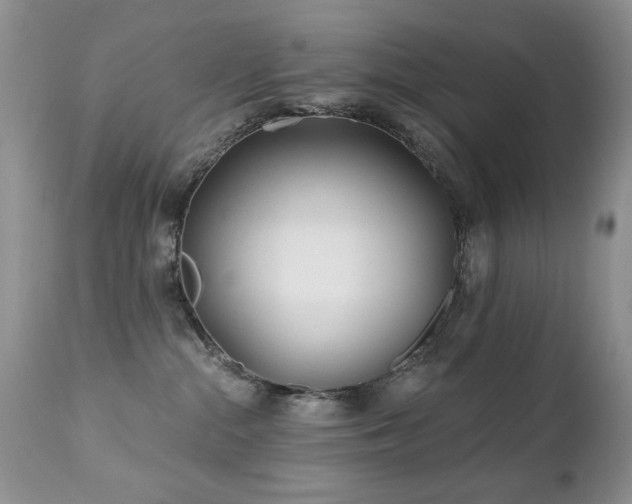 X0000112460284200908171210
