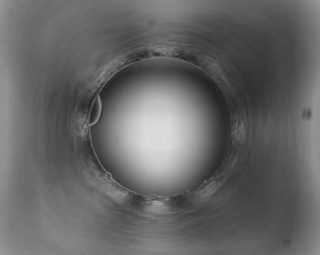 X0000112460285200908171210