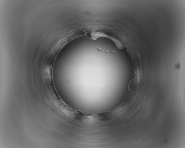 X0000112460286200908171210