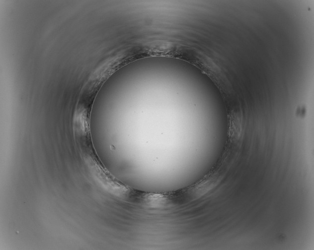 X0000112460287200908171210