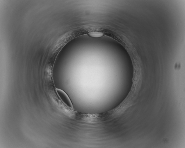 X0000112460288200908171210