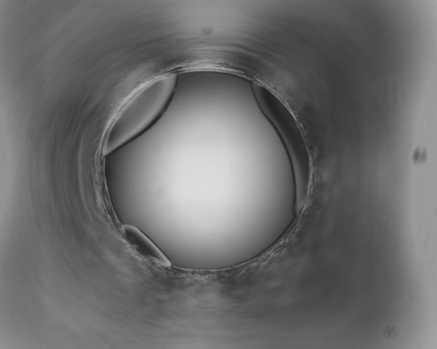 X0000112460289200908171209