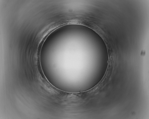X0000112460290200908171209