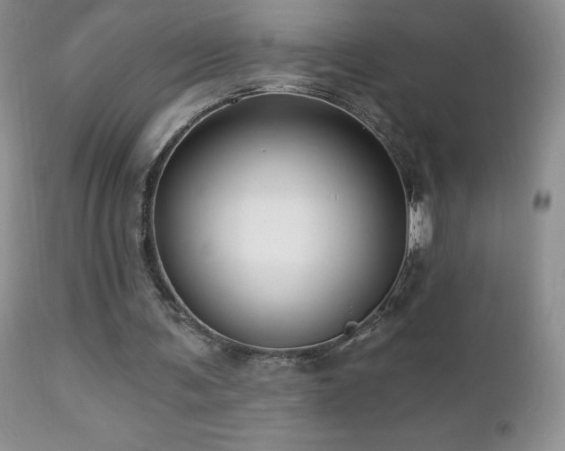 X0000112460291200908171209