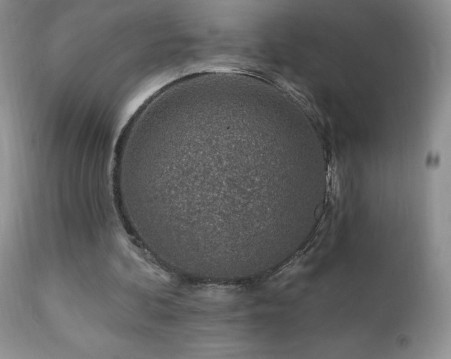 X0000112460292200908171209