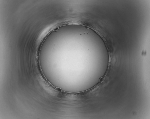 X0000112460293200908171209