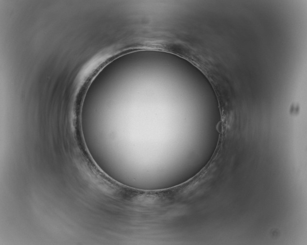 X0000112460294200908171209