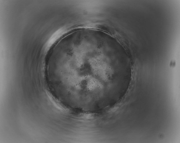 X0000112460295200908171209