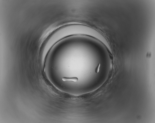 X0000112460296200908171209
