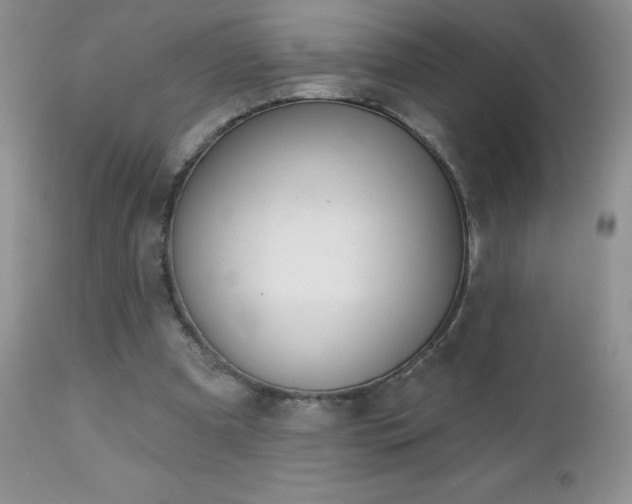 X0000112460297200908171209