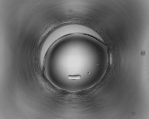 X0000112460300200908171209