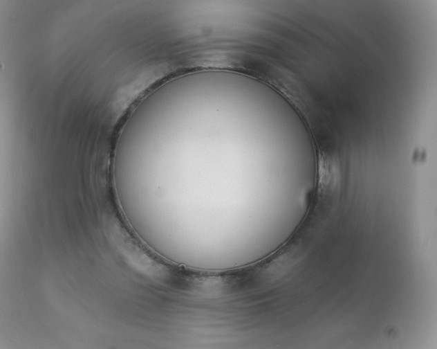 X0000112460301200908171209