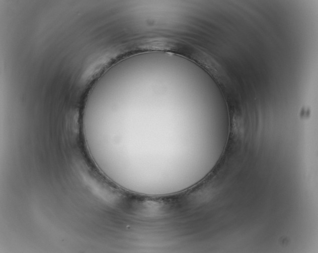 X0000112460302200908171209