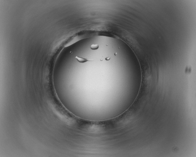 X0000112460303200908171209