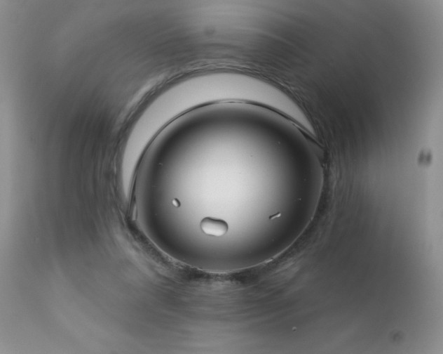 X0000112460304200908171209
