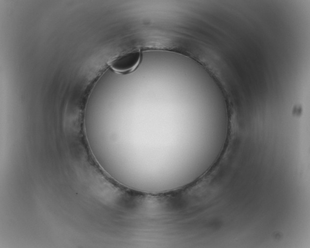X0000112460305200908171209