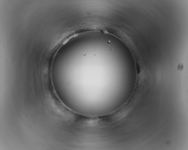 X0000112460306200908171209