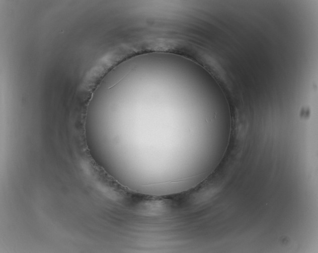 X0000112460307200908171209