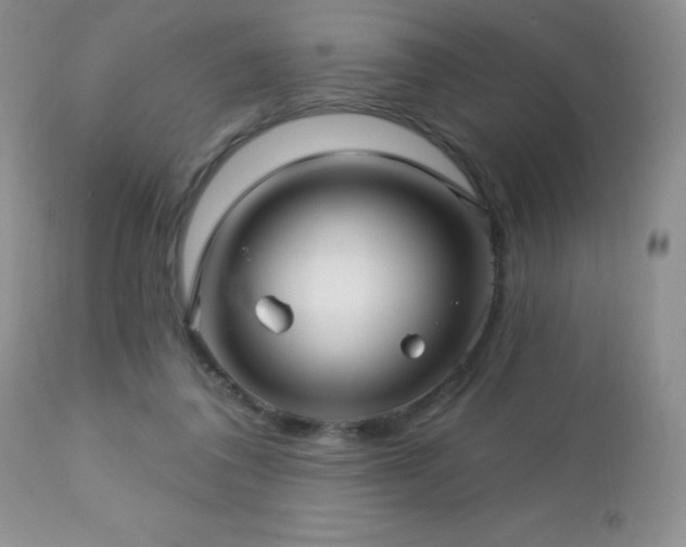 X0000112460308200908171209