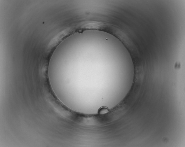 X0000112460309200908171209