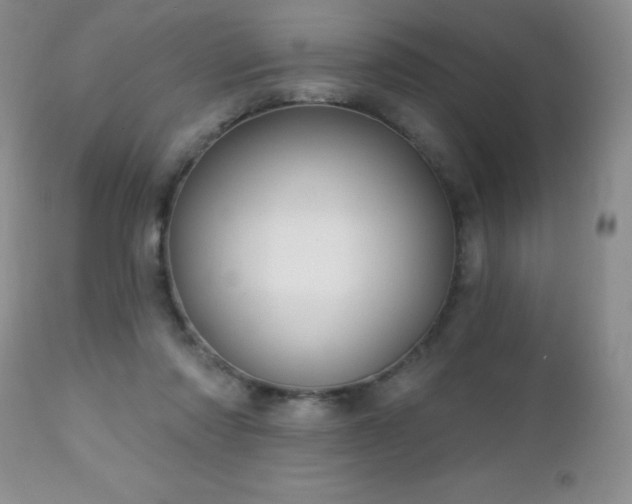 X0000112460310200908171209