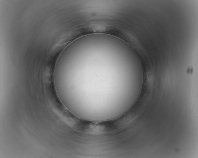 X0000112460311200908171209