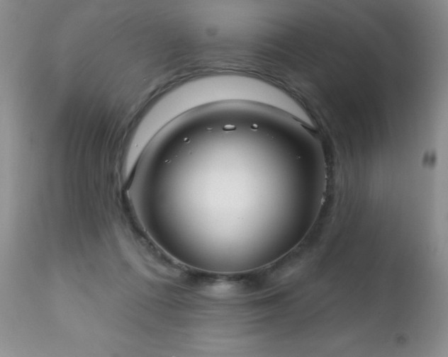 X0000112460312200908171209