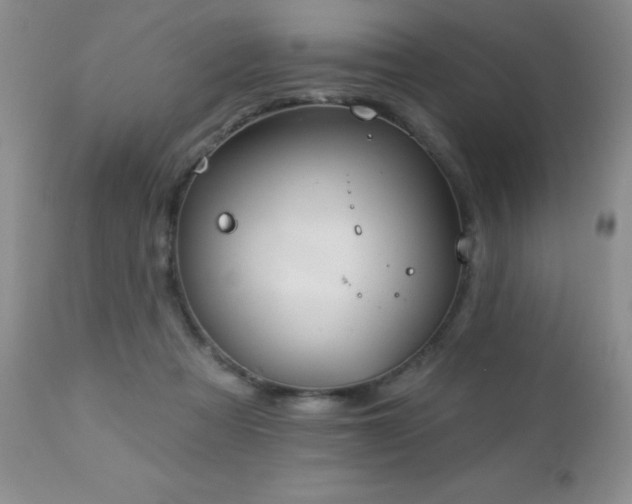 X0000112460313200908171209