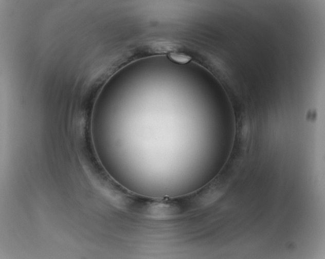 X0000112460315200908171209