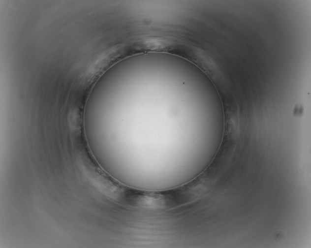 X0000112460317200908171209