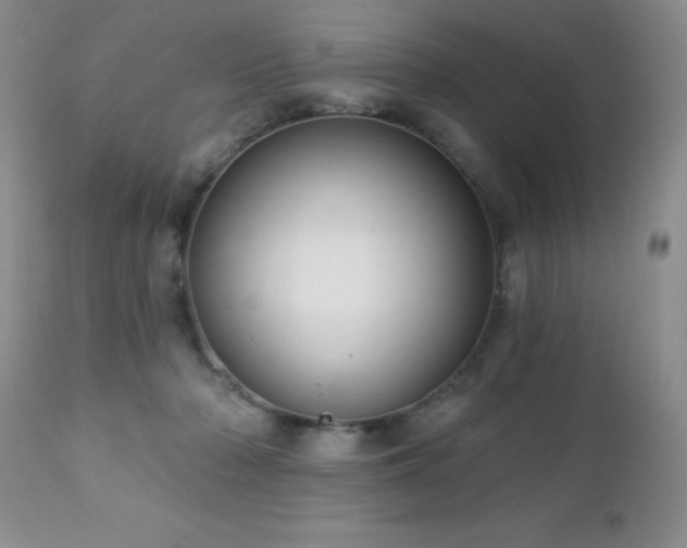 X0000112460318200908171209