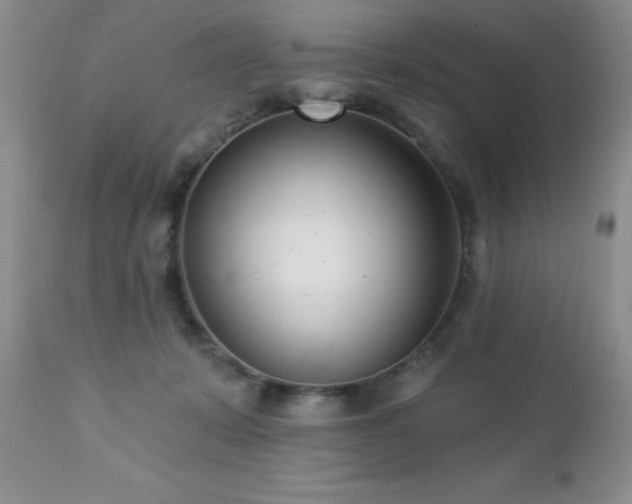 X0000112460319200908171209