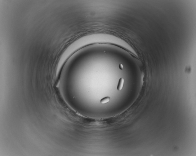 X0000112460320200908171209