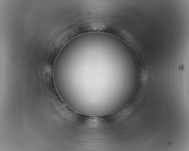X0000112460321200908171209
