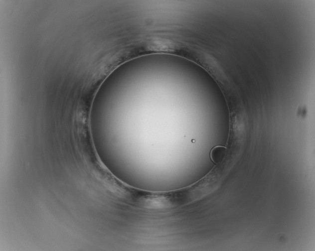 X0000112460322200908171209