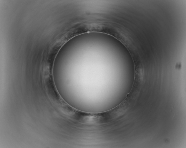 X0000112460323200908171209