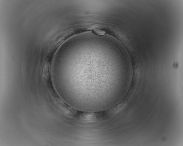 X0000112460325200908171209